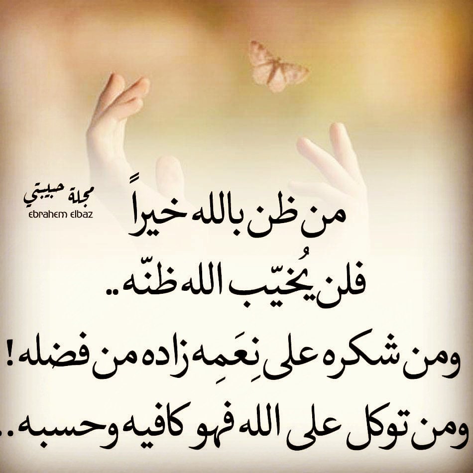 لا اله الا الله (@f63fb8a3e9da447) on Twitter photo 