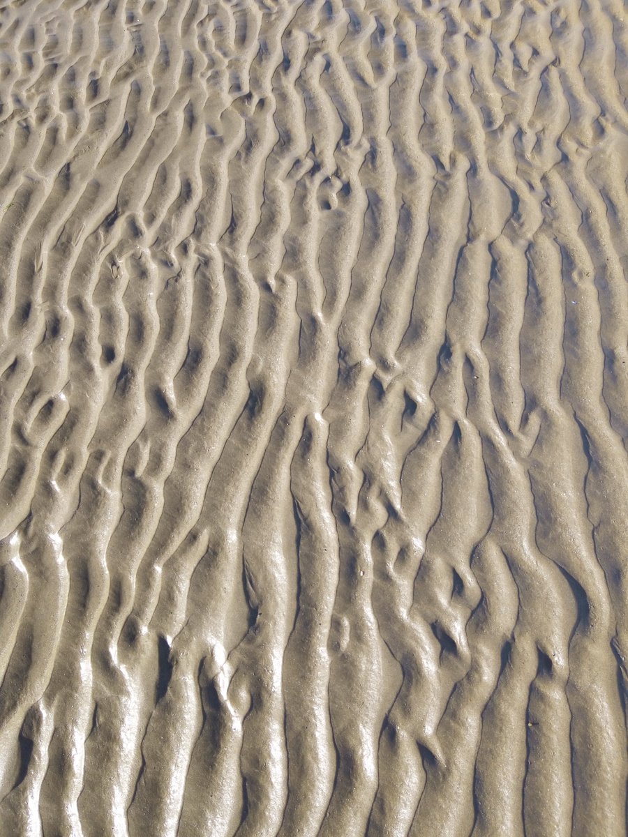 FileyFlat1's tweet image. Evening sun in #Filey