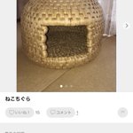 ちょっとかわいそう？フリマサイトにある猫ちぐらエピソードが大体一緒!