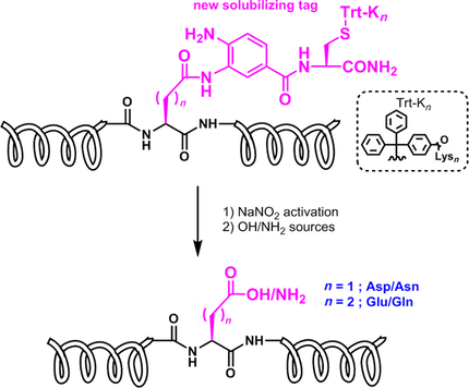 ChemBioChem's tweet photo. A solubilizing trityl-type tag for #NativeChemicalLigation of Asx/Glx-containing peptides (Yoshiya at Peptide Institute, Osaka) #proteinsynthesis #protectinggroups https://t.co/bjl3oLjPVZ https://t.co/IITsEa8EGr