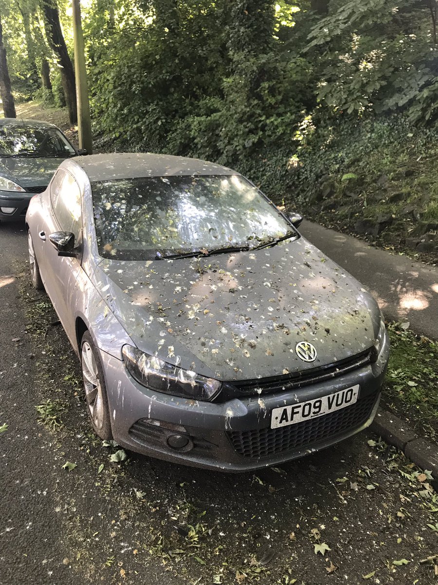 Damientg's tweet photo. Iโve asked @HighPeakBC officers to investigate this โabandoned carโ on St Philip Howard Road. Residents reported thatโs itโs been there for 3-4 weeks. The birds have taken a sh... shine to it....
#howardtown #glossop https://t.co/sSoGJ0l8JS