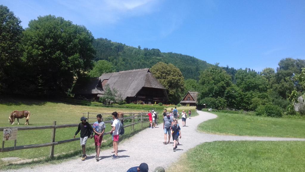 The Black Forest Open-Air Museum. Finding out how people lived in the Black Forest in centuries gone by. Lots of space. A good breeze. Much to discover. <a href="/HA_Trips/">Haberdashers’ Adams Trips</a> <a href="/HabsAdamsGS/">Haberdashers' Adams</a>