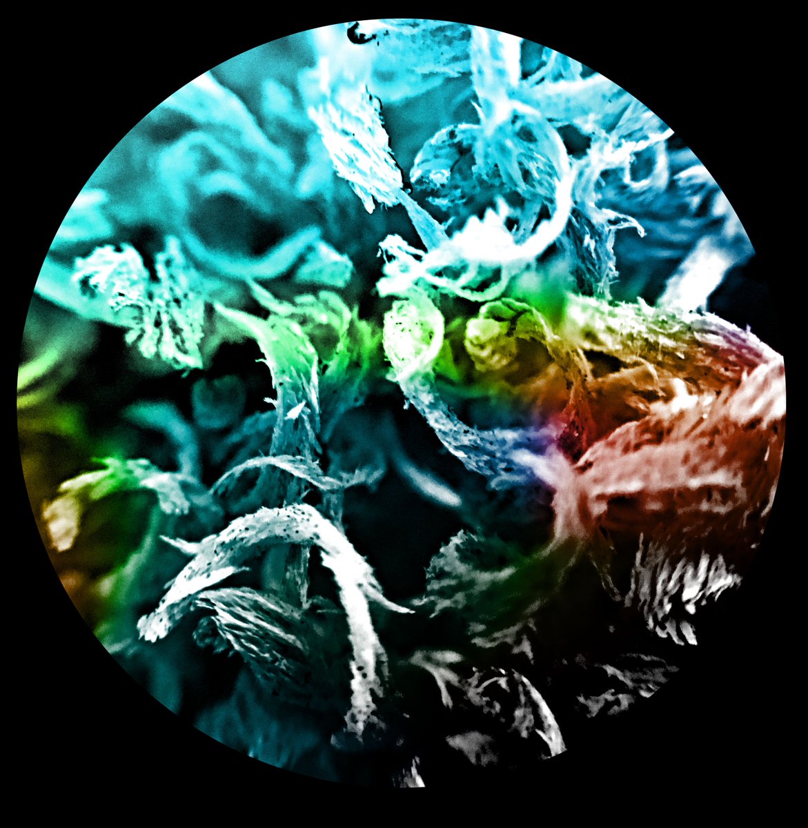 RHSCArtDept tweet media