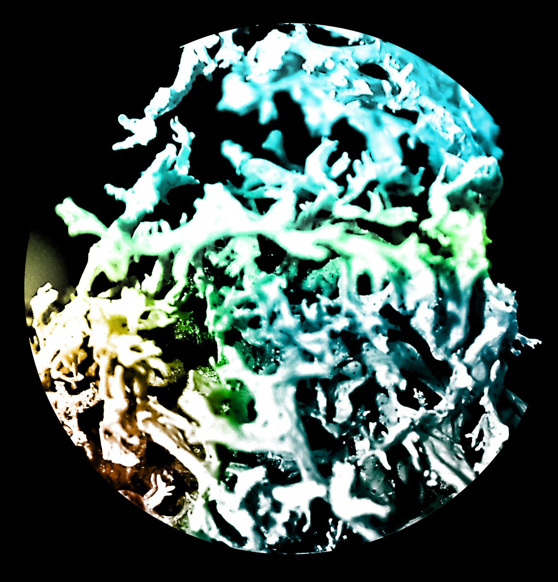 RHSCArtDept tweet media