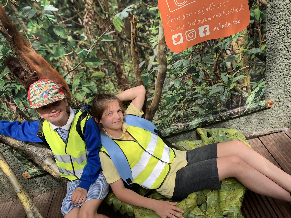 ButtonLane_'s tweet photo. #Class5CE having a ball at @chesterzoo @LearnatCZ great to see Mike here! https://t.co/5kvwvxryfh