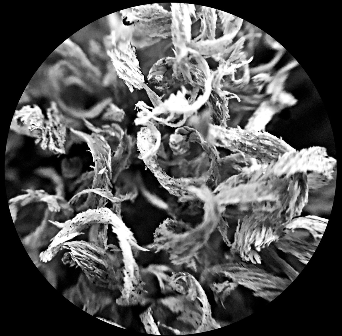 RHSCArtDept tweet media