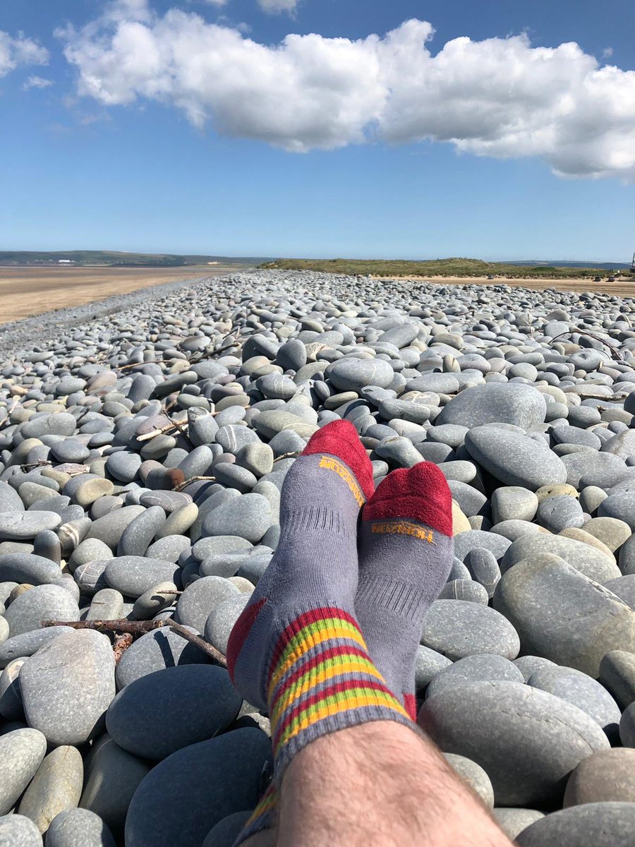 Horizon Socks tweet media