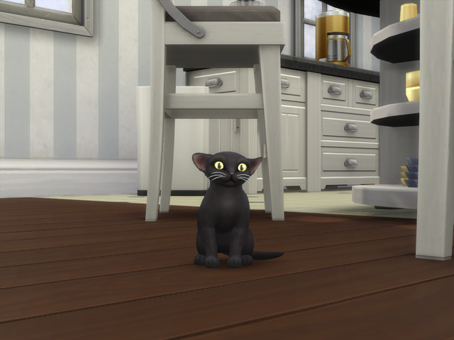 Les Sims tweet media