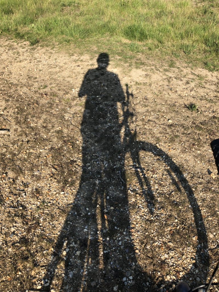 Mark Condron tweet media