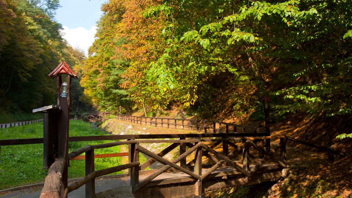 The most visited entrance to Medvednica is the Bliznec Forest Road, specially adapted for visitors with disabilities. 

If you walk along this road, you will learn about the vivid history of this part of Medvednica and its wildlife world.🐿🌿

#Medvednica #ParkprirodeMedvednica