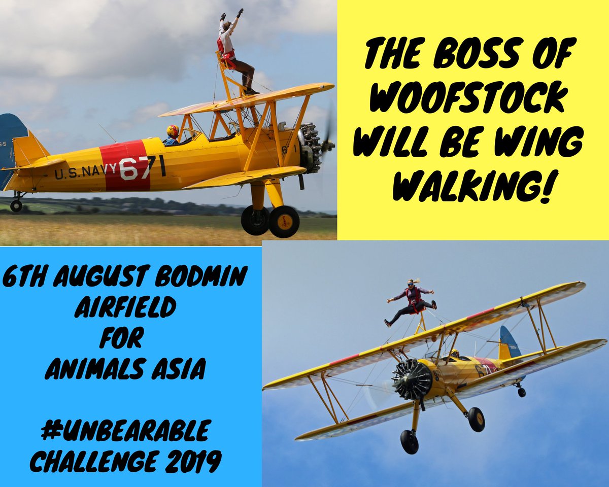 woofstockuk's tweet photo. Morning #woofstockers  Due to lack of selotape to keep wings on the plane &amp; a new supplier being sought the bosses wing walk will now be the 6th August. She will test the plane then. Her #unbearablechallenge has become a #veryscaryunbearablechallenge  😂😂😂😂😂 @AnimalsAsiaUK https://t.co/AgQhR75nuM