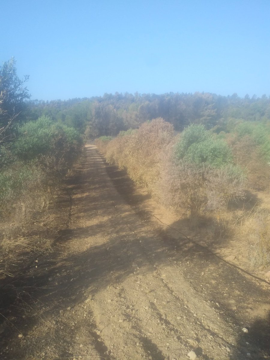 Bon dia! <a href="/TeresaJorda/">Teresa Jordà</a> <a href="/QuimTorraiPla/">Quim Torra i Pla</a> després d'anunciar-nos, ahir, el pla de xoc per finals d'any, responem així... No tenim temps a perdre, hem de refer el que s'ha perdut. Necesitem mesures inminents i a l'altura. Treballem junts, però fem-ho!!!
#IFRiberadEbre #REBROTEM