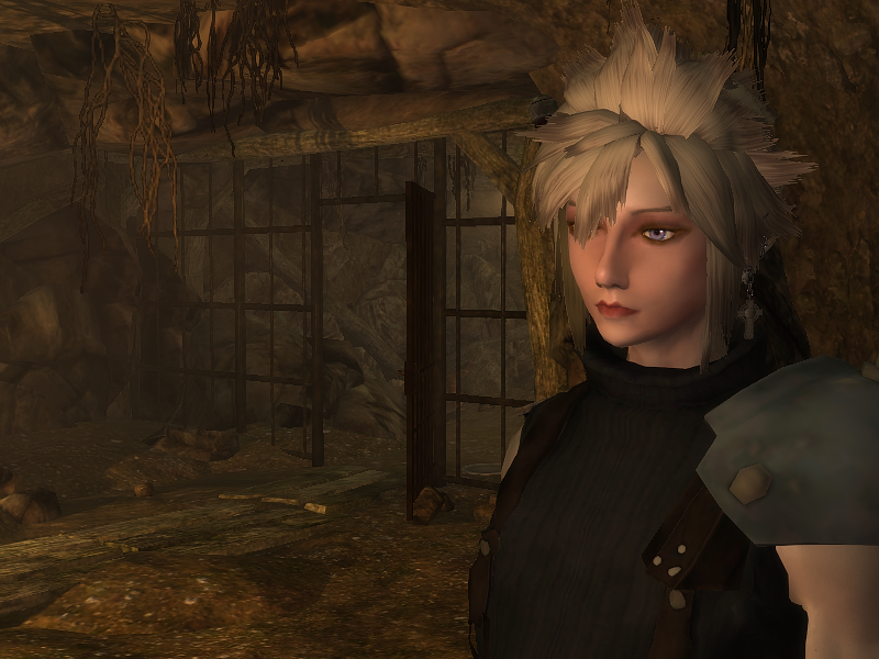 Cuote4mikewhere's tweet photo. #Skyrim #FinalFantasy7 #FinalFantasy7Cloud https://t.co/T98VT33vRt