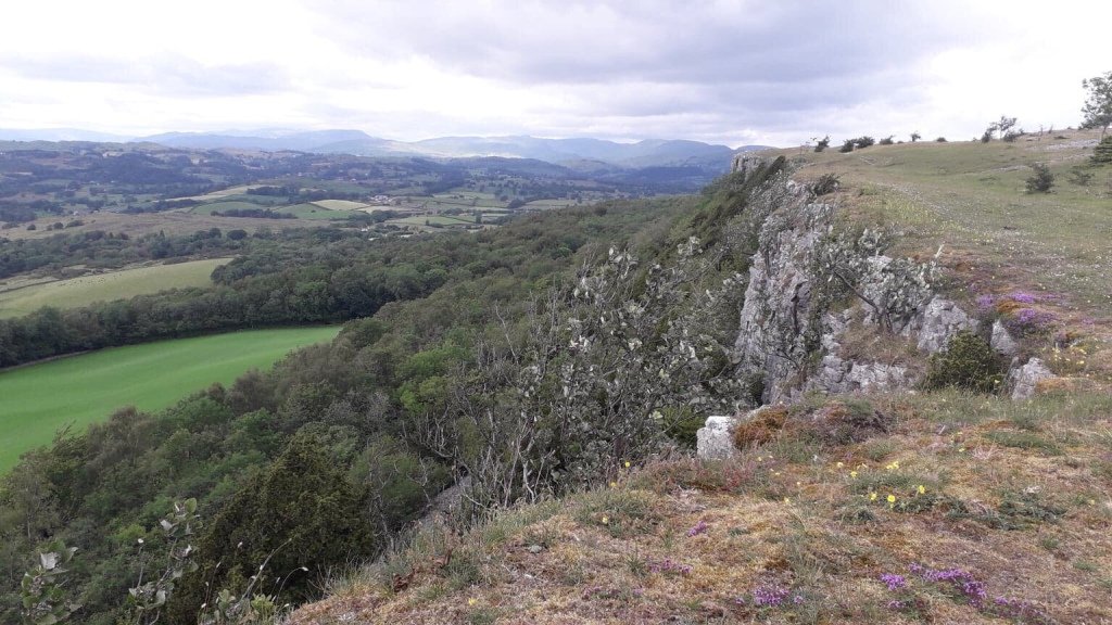 Kendal Calling… newbootspantiesandafiddle.home.blog/2019/07/03/ken…