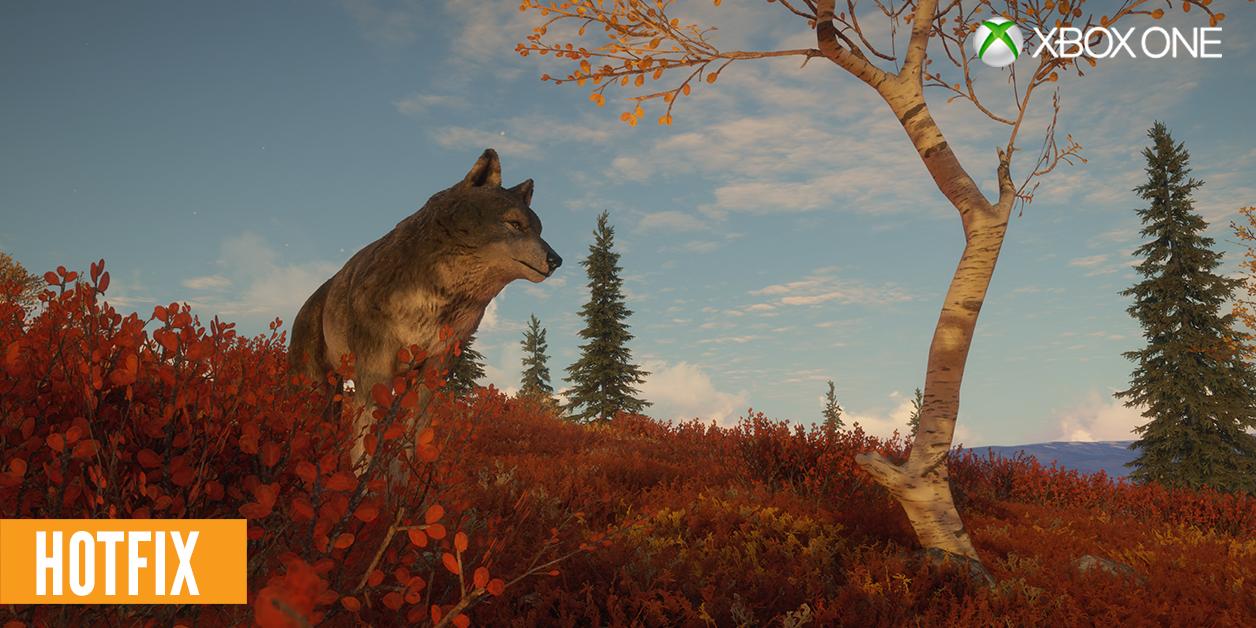 thehuntercotw-on-twitter-xbox-hotfix-1-36-patch-notes-patch-notes