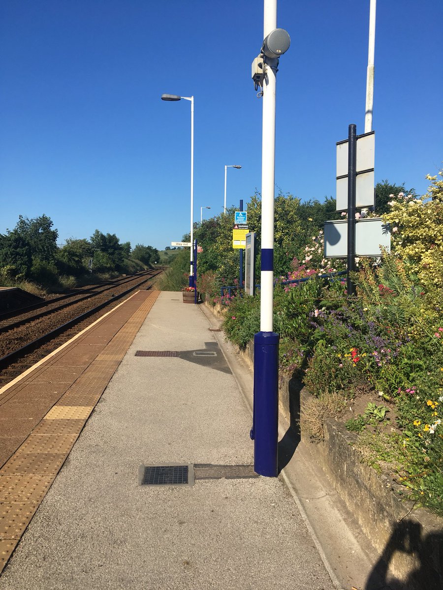 clare_pinches's tweet photo. Early train to Peterborough - love the rural station I get on at. Watched a Sparrowhawk today ambushing Hedge sparrows on the railway tracks and enjoyed the colour, scent and sound of the flowerbeds buzzing with bees 🐝 #nicestarttotheday https://t.co/1OJI9W2JFr