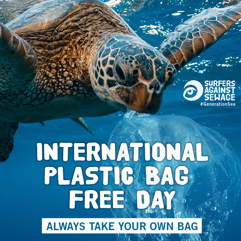 sascampaigns's tweet photo. 🙌💙 🌍 It’s #PlasticBagFreeDay! 🙌💙 🌍 RT if you'll carry a reusable bag, today &amp; *everyday*. 

🐢 No animal should choke on our plastic pollution. Sign the urgent petition: https://t.co/0S4m45r7iA

#InternationalPlasticBagFreeDay #PlasticFreeJuly #WednesdayWisdom https://t.co/fCCTShRoMk