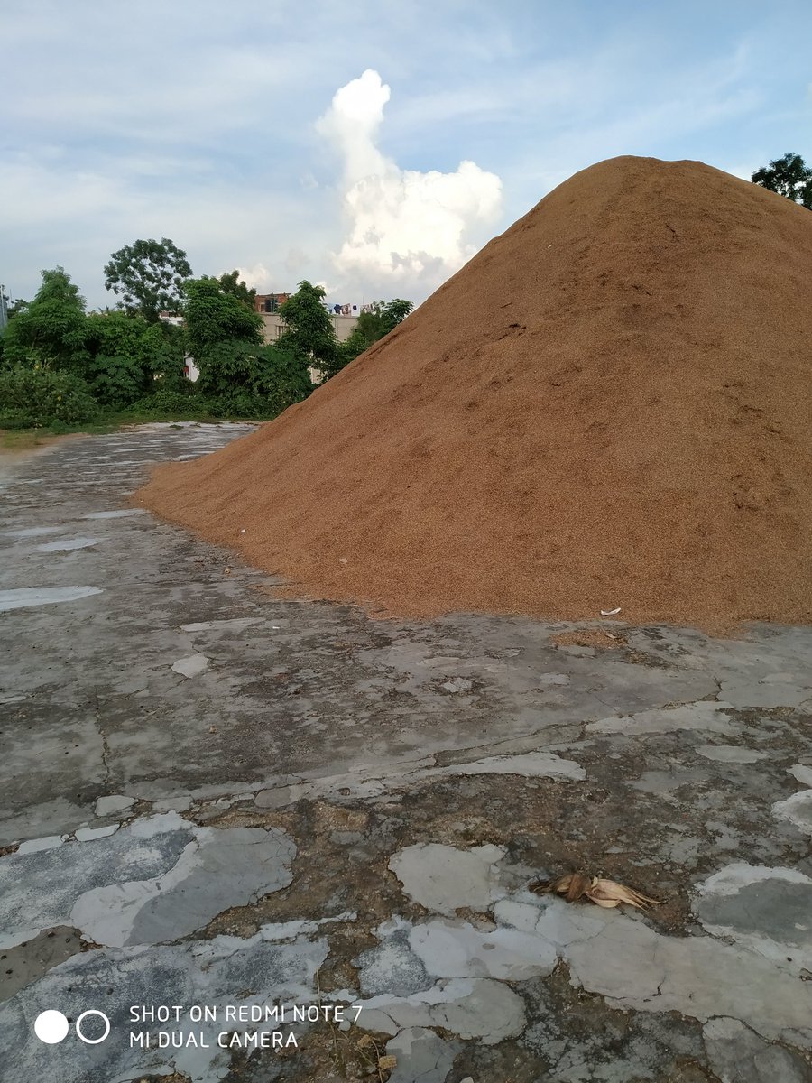 DeveloperRabi's tweet image. Beauty of Nature.