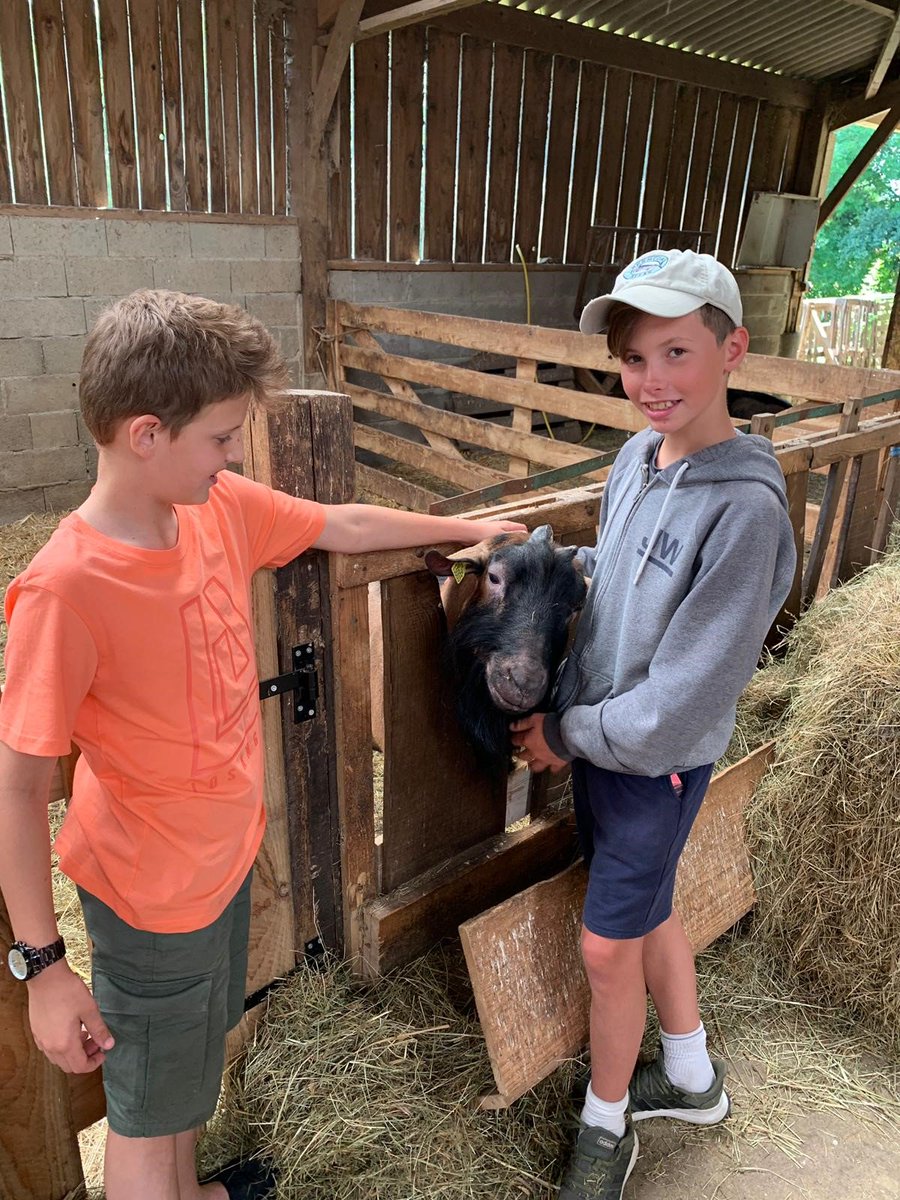BallardSchool's tweet photo. It looks like our Year 6 pupils have made some new friends in Normandy! #BallardTripsWeek #BallardNormandy #SchoolTrip #MakingMemories #MadeAtBallard #BespokeEducation https://t.co/g4S0YfXVhS