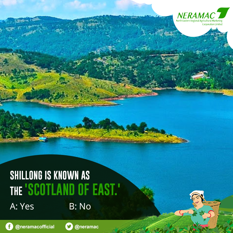 neramac's tweet photo. It's time for yet another 'Yes' or 'No' challenge. Gear up and guess the right answer.
#NERAMAC #Shillong #Meghalaya #ScotlandOfEast #Northeast #Organic #ONE #NeFresh #NorthEastIndia https://t.co/vtZhIuQHZA
