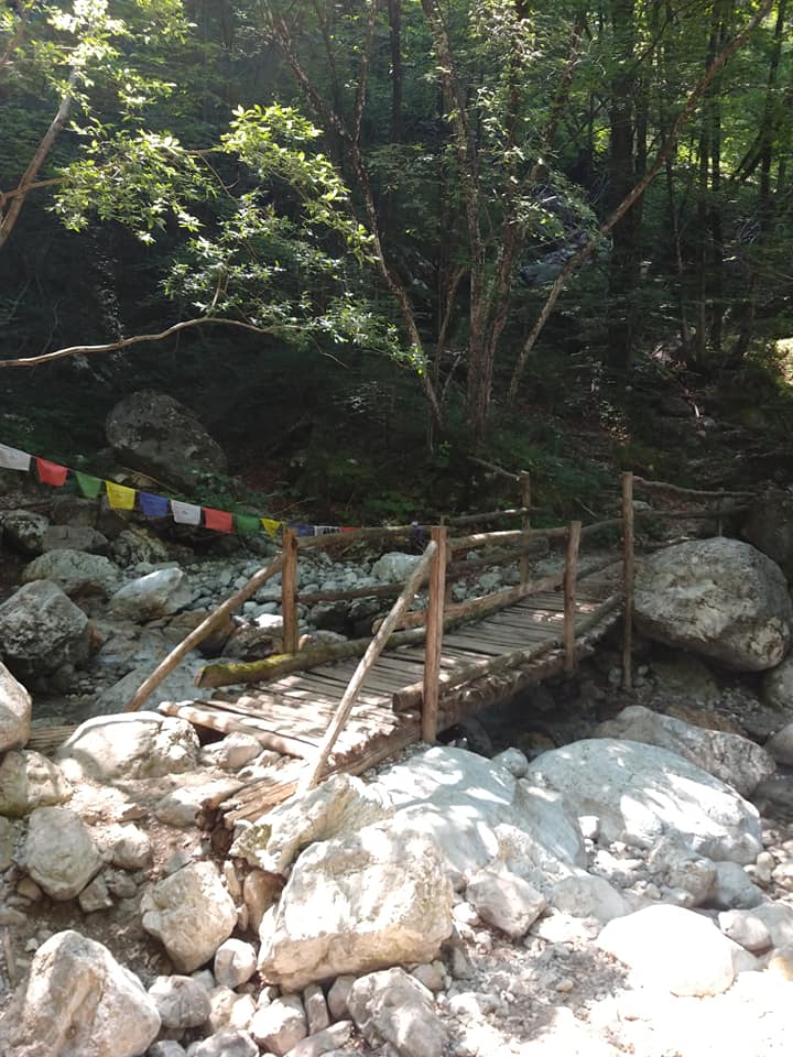 A day in the woods. Son loved it. We walked for over 3 hours. Wonderful place! #Lecco #Italy