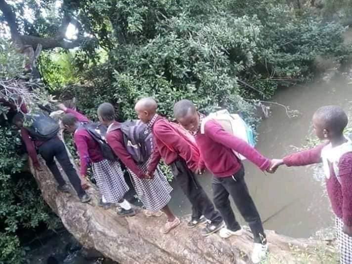 Kenyaoncamera2's tweet photo. 🤔🤔Someone should save our kids before headlines comes. #Central_Ward_Ndaragwa_Constituency #55_Years_After_Independence #Kenyaoncamera https://t.co/zWzbhBG9Fj