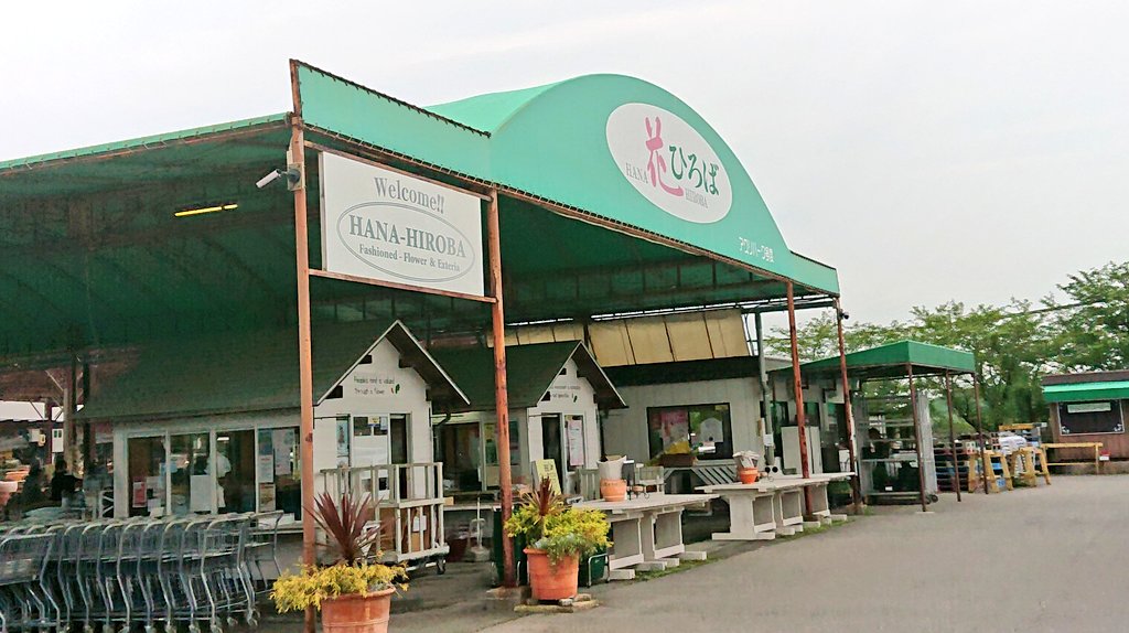 中国料理 摩天楼 桑名 花ひろばに メダカを出してる ナチュラリーガーデンさんが ランチに御来店 Flower00v ランチ終わって 仕事の休憩時間に 早速 見に行ってきた笑 花ひろば ナチュラリーガーデン 摩天楼の日替わり