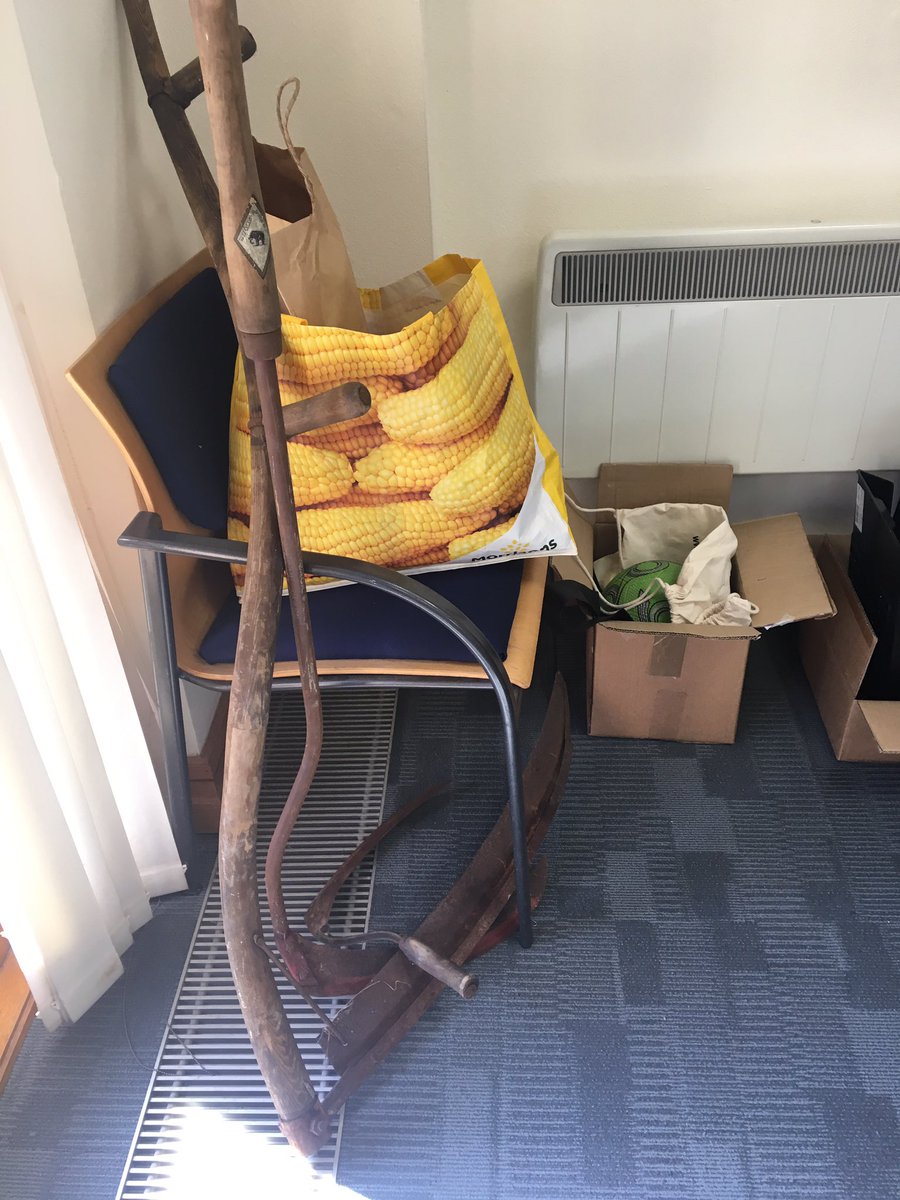 caltew's tweet image. So today in the office. #sasprofs #saseducation