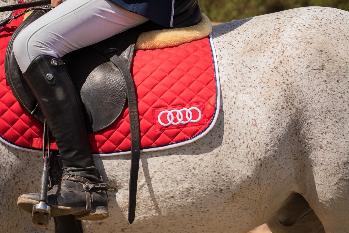 AudiCanarias's tweet photo. Este pasado fin de semana disfrutamos de la hípica en la #CopaAudi en el Real Club de Golf de Las Palmas.

#AudiCanarias https://t.co/dexpLKD2v4