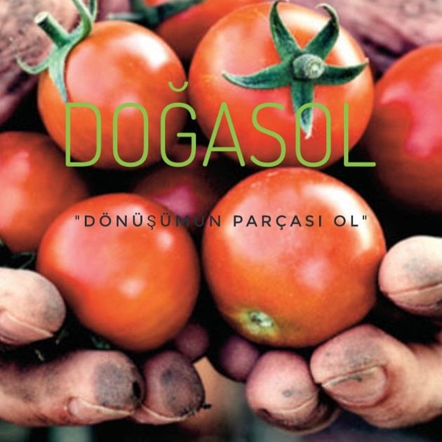 #organik #tarım için #dogasol #solucangübresi #erkenci #sağlıklı #ürün #çarşamba