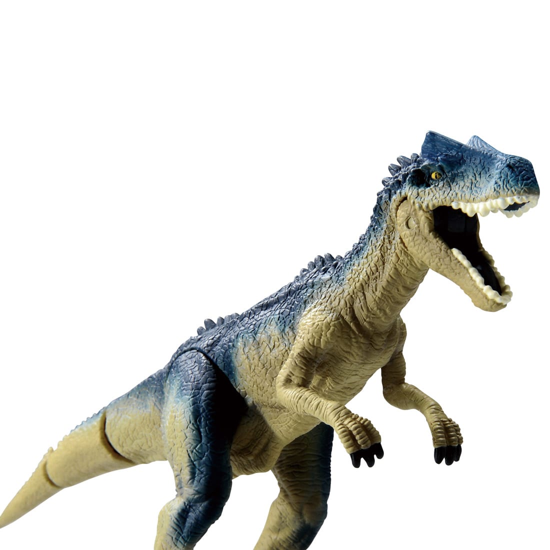 タカラトミー 白亜紀最強の肉食恐竜がティラノサウルスならばジュラ紀の最強の肉食恐竜はアロサウルス といわれるめっさ獰猛でかつ素早いアロサウルスのアニアが発売中です W ノ この子はいい子なので噛みつきません T Co Trfdlcmyle