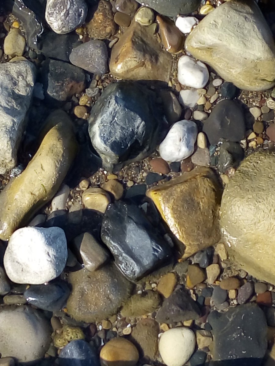 FileyFlat1's tweet image. Evening sun in #Filey