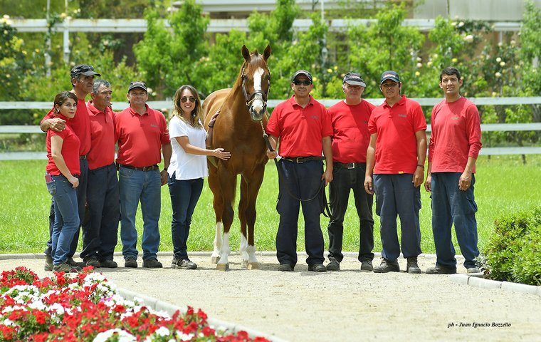 TRCommentary's tweet image. California Chrome's life of luxury in Chile? 

Don't miss Amanda Duckworth's special report from the stud farm where America's favourite horse has been living

Full feature here bit.ly/2Xq7fYA