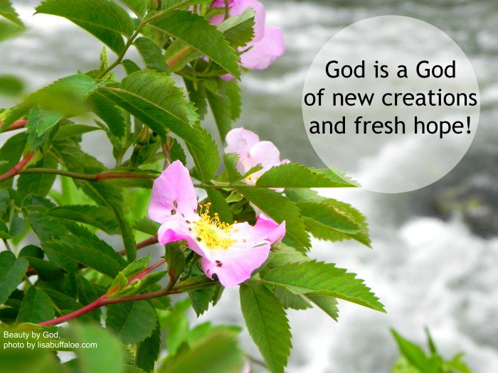 albelin14's tweet image. #Bendito sea el #Dios ...El cual nos consuela en todas nuestras tribulaciones... #2Co 1:3-4 bibl.co/8300