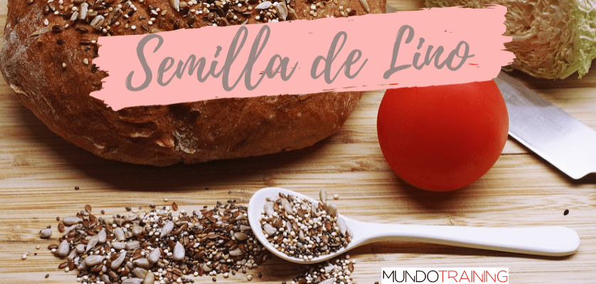 miMundoTraining's tweet image. ¿Por qué las #Semillasdelino😍 son el #superalimento😋 que no puede faltar en tu dieta? bit.ly/2Xk6mfd ¡Éstos son sus argumentos a favor!👌👏