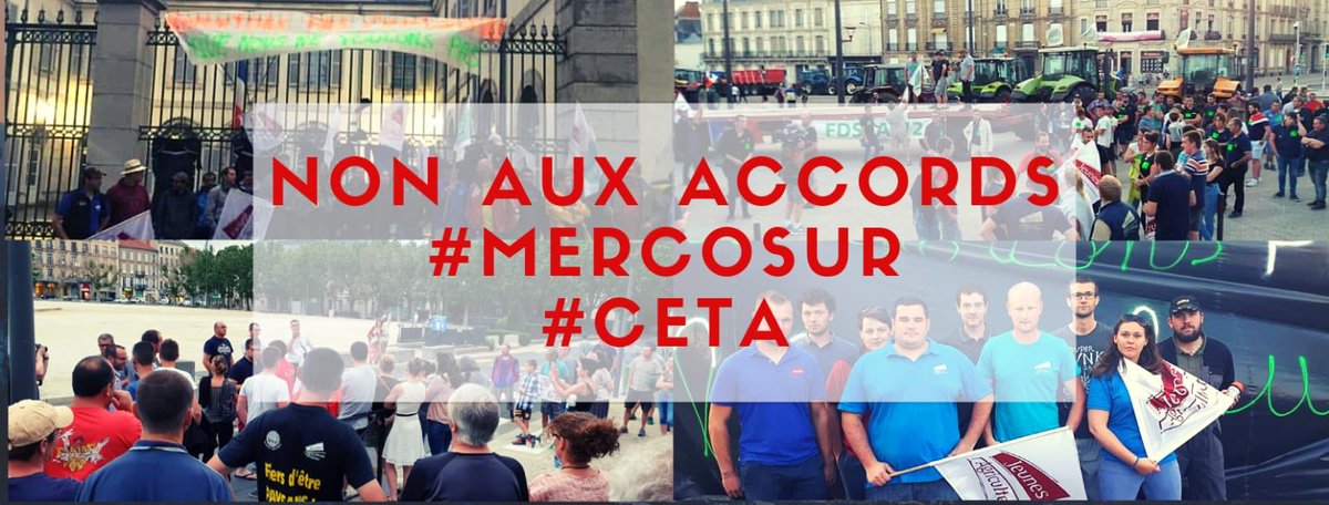 Les JA sont sortis en nombre partout en France hier soir pour protester contre le #Mercosur. Merci à eux !🙏
D'autres continueront la mobilisation dès ce soir. Revenu digne et alimentation de qualité sont en jeu. 
Fierté de voir ces jeunes donner du sens au syndicalisme 💪 <a href="/FNSEA/">La FNSEA</a>