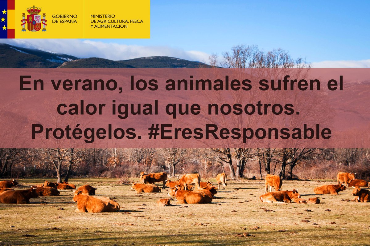 📢#España ha puesto en marcha un plan para controlar la temperatura en los transportes de animales vivos por carretera

🗓️1 de #julio al 15 de septiembre 

👉Asegurar el bienestar de los animales no es sólo una obligación legal sino una responsabilidad

bit.ly/2FOkK9K