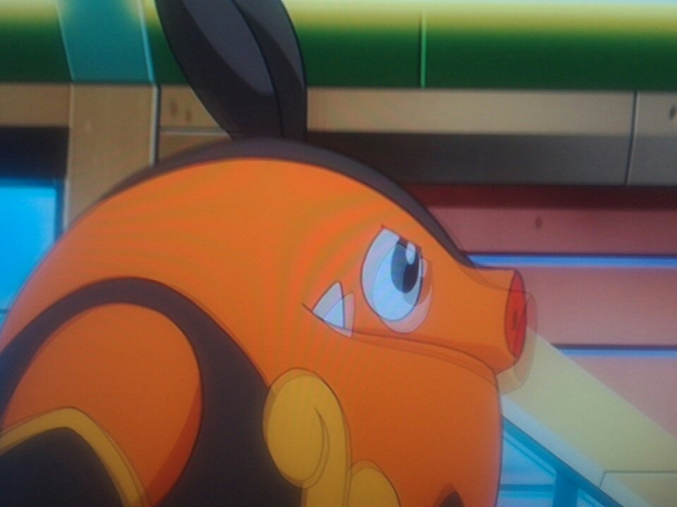 Friendly 翔太 Twitterren ポカブからチャオブーへ進化した ポケモンbw ポケモン再放送 ポケモン Anipoke Friendly 翔太 Twitterren ポカブからチャオブーへ進化した ポケモンbw ポケモン再放送 ポケモン Anipoke
