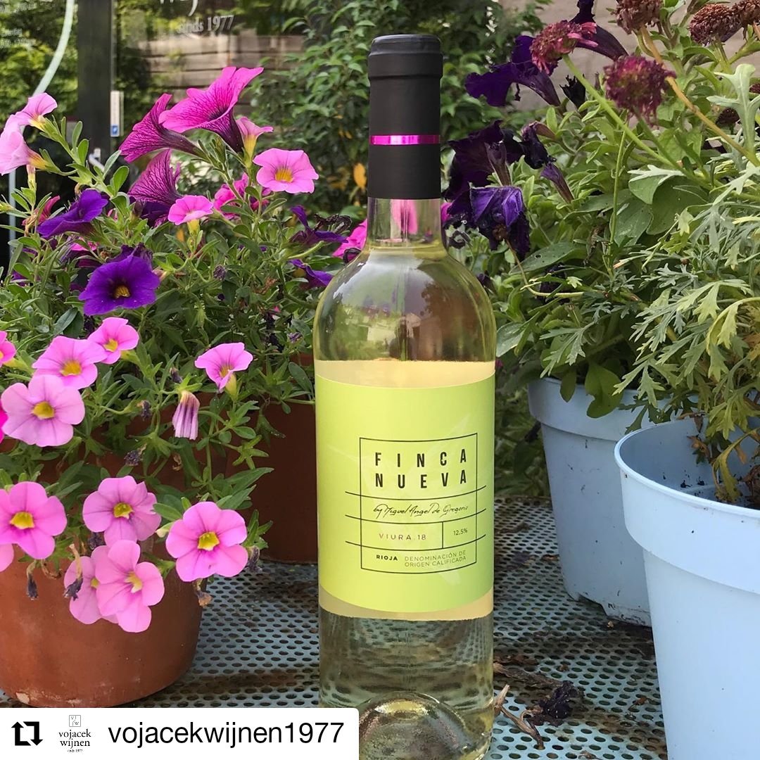 Bodegas Finca Nueva tweet media