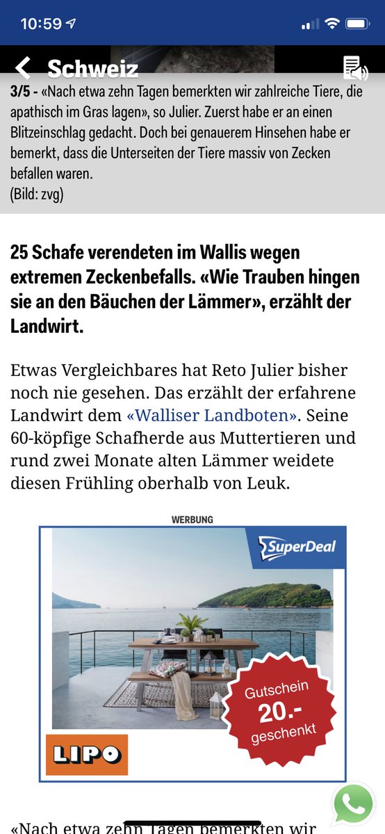 Noch eine Fusion bei Mengis Media? Diesmal mit Winterthur?😂 #WalliserBote