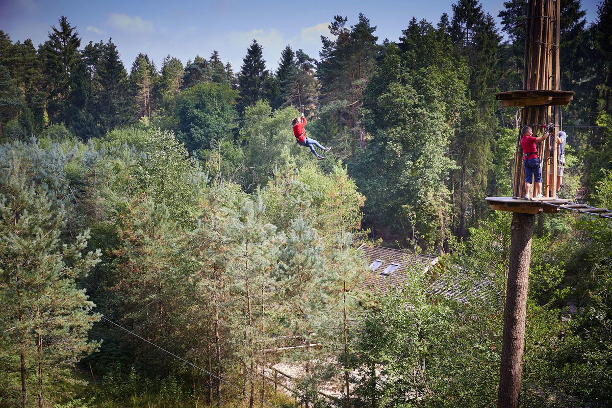 GoApeTribe tweet picture
