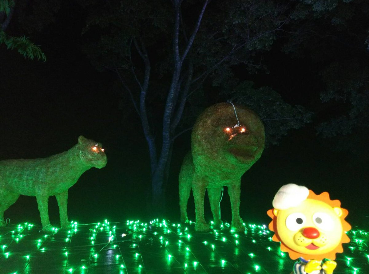 キングさん 妙高市 アパリゾート上越妙高 するどく光るライオンさんの目ッ 神々しいおぉん アパリュージョン T Co Q5j8kqvhzz 新潟 妙高 イルミネーション T Co 73xh2m1gfp Twitter