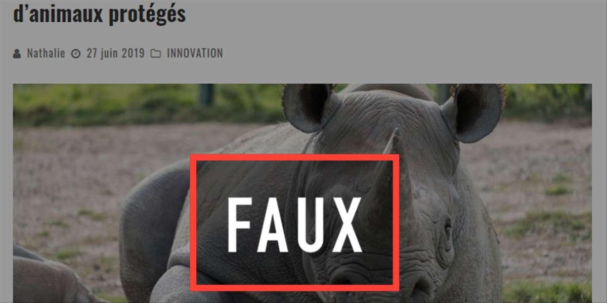 Les Braconniers Au Kenya Seront Passibles De La Peine De Mort Histoire D Une Fausse Citation Largement Relayee Par L Les Decodeurs Scoopnest