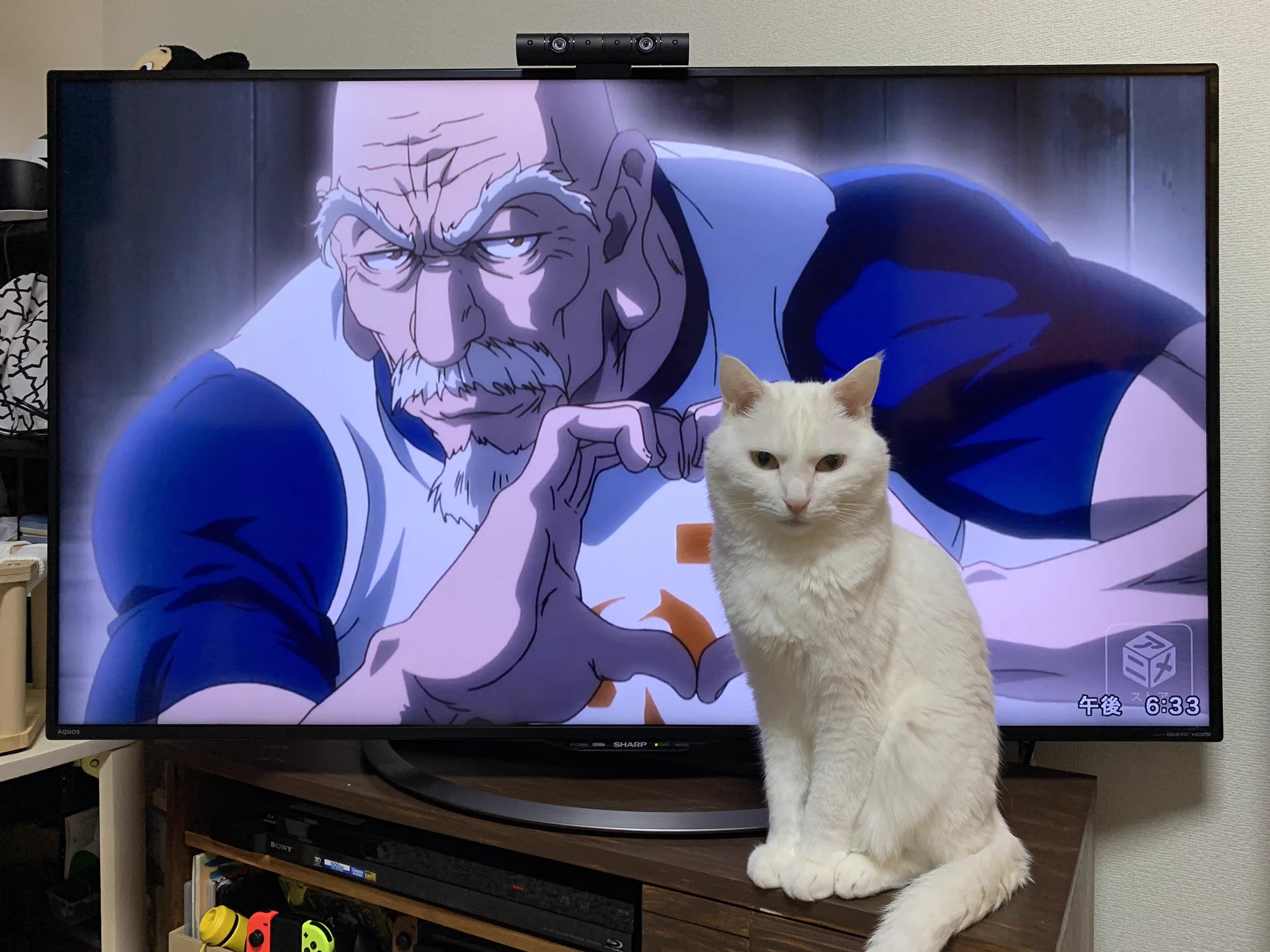 ネテロよりも迫力のあるネコに草ｗｗｗ