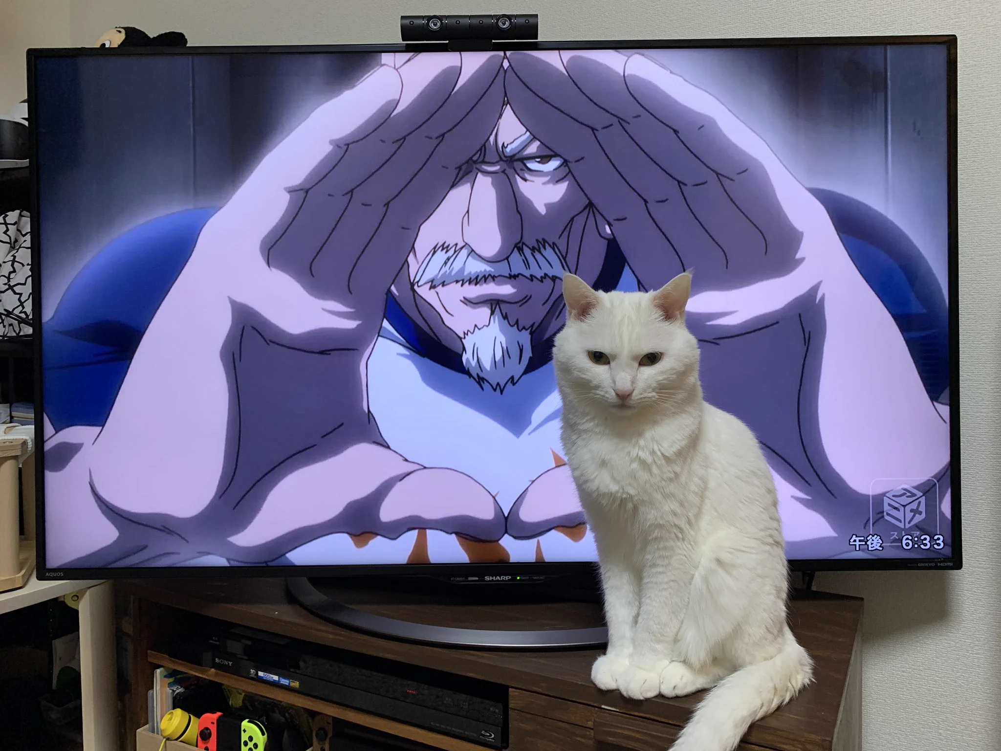 ネテロよりも迫力のあるネコに草ｗｗｗ