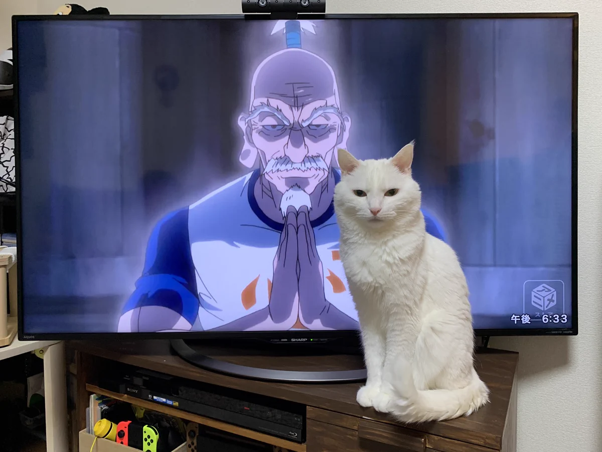 ネテロよりも迫力のあるネコに草ｗｗｗ