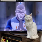 ネテロよりも迫力のあるネコに草!