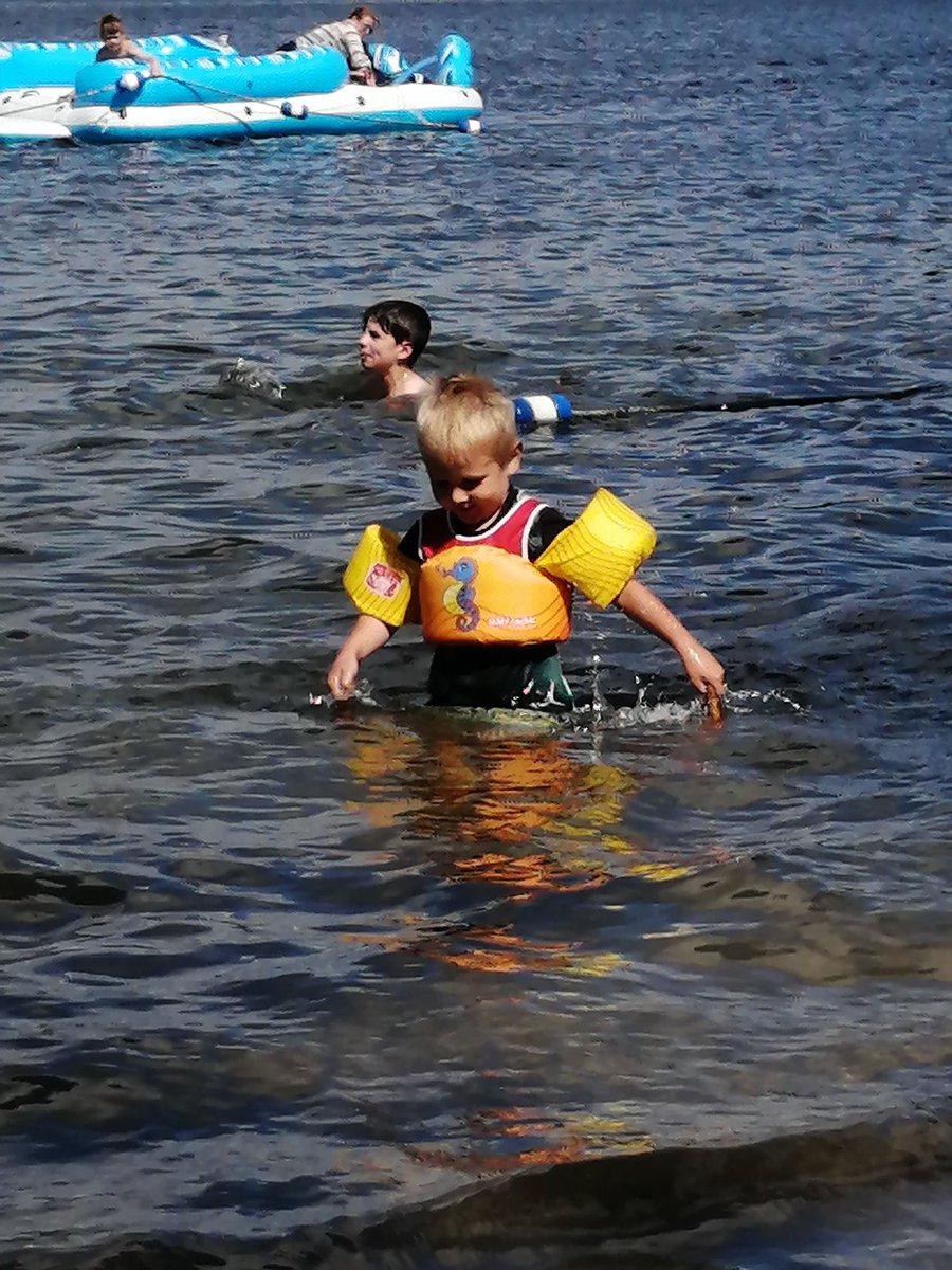 kb2_r's tweet image. Taking a swim @SharbotLakePP