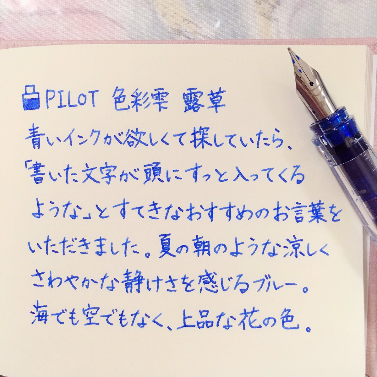 ✒︎ PILOT 色彩雫 露草 書き始めは鮮やかで、乾くと柔らかな青い花の