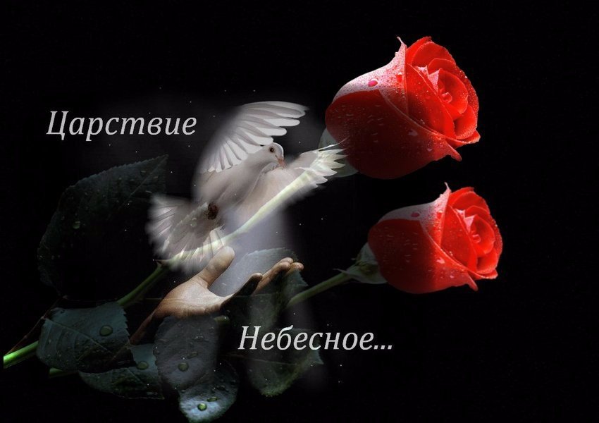 Светлой памяти моего отца открытка